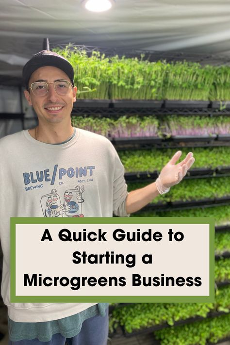 When he started his farm and business in 2016, Donny Greens never imagined microgreens changing his life in the ways that it has. In this article, he gives you his best advice on how to start a microgreens business. Micro Green Business, Micro Greens, Micro Greens Growing, Microgreens Business Plan, Microgreens Packaging Ideas, Microgreen Farming, Microgreen Business, Microgreens Business, Microgreens Nutrition Chart