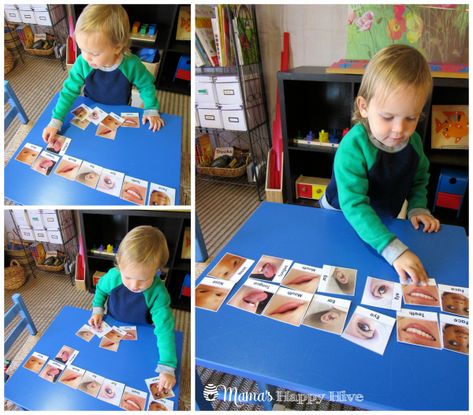 Montessori Literacy, Toddler Activties, Children Reading Books, Human Body Lesson, Body Parts Preschool Activities, Body Parts For Kids, Human Body Projects, Body Preschool, Human Body Activities