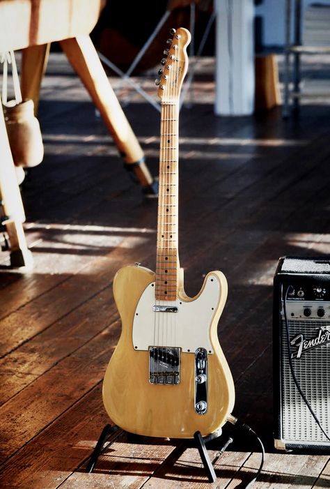 Fender Telecaster Fender Guitars Telecaster, Guitar Equipment, Fender Telecaster Deluxe, Guitar Gibson, Telecaster Deluxe, Telecaster Thinline, Telecaster Custom, Best Guitar Players, Telecaster Guitar