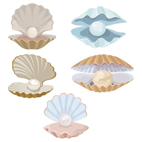 Clam Illustration, Seashell Drawing, Seashell Illustration, Pearl Seashell, Shell Drawing, Shell Tattoos, Underwater Art, Illustration Cartoon, Shell Art