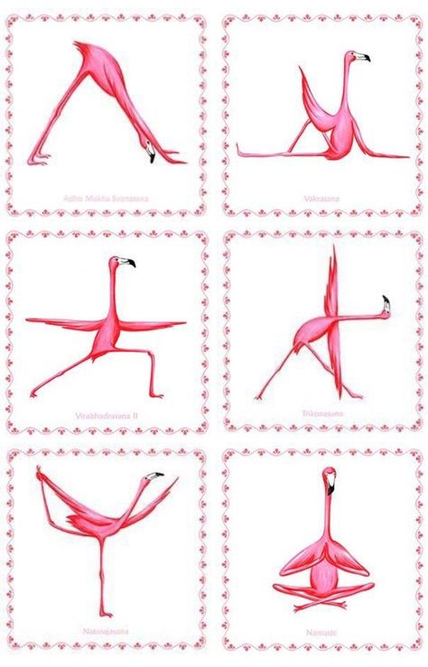 Flamingo Costume, Flamingo Pictures, Flamingo Tattoo, Flamingo Craft, Fancy Flamingo, Good Morning Funny Pictures, Flamingo Theme, Flamingo Decor, Flamingo Birthday