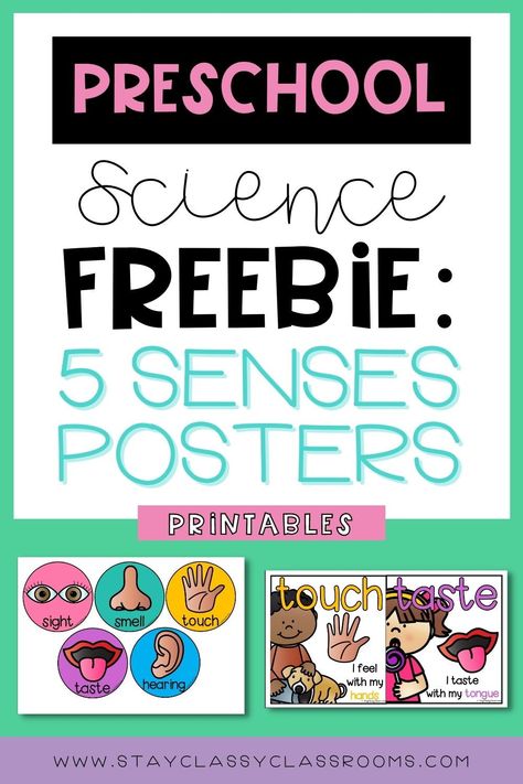 Science Area Preschool, Five Senses Kindergarten, 5 Senses Preschool, Free Printable Posters, Five Senses Preschool, 5 Senses Activities, Science Area, Senses Preschool, Printable Classroom Posters