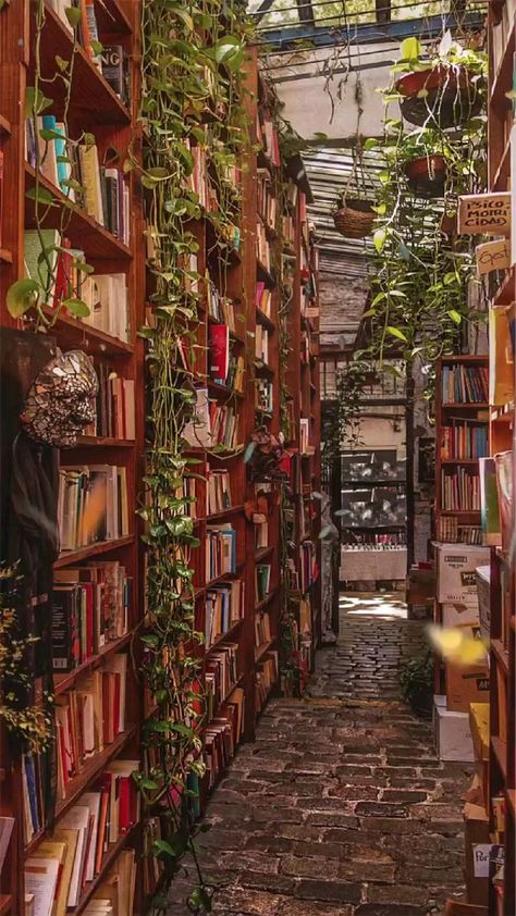 Vintage Library Aesthetic, World Most Beautiful Place, Dream Library, Library Aesthetic, Adventure Travel Explore, Pinturas Disney, Studio Apartment Decorating, Small Backyard Design, Beautiful Places In The World