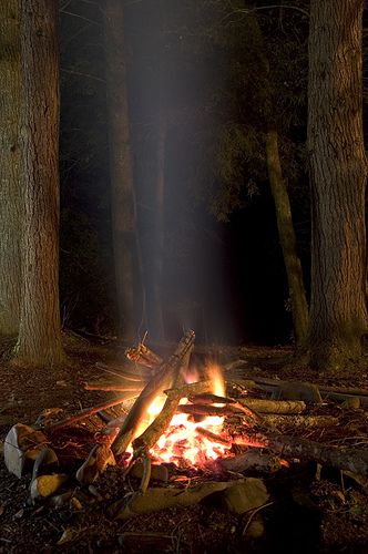 Forest At Night, Camping Sauvage, Campfire Stories, Light My Fire, Camping Life, Off The Grid, Go Camping, Outdoor Life, Bushcraft