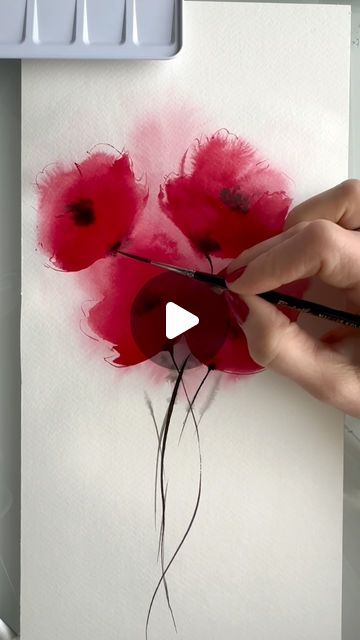 Marja on Instagram: "❤️Long time since painted poppies. Love this raw red color. So alive.❤️ Brushes: @silverbrushltd @raphael_brushes Colors: @acuarelaswhitenights and Rosa watercolors Paper: Aurora . . . #artistsoninstagram #myart #passion #poppy #poppies #floralillustration #artist #modernbotanicals #watercolorflowers #watercolorflorals #watercolorillustration #watercoloring #aquarelle #painting #watercolorpaintings #watercolorart #natureinspired #art #arts #watercolouring #natureart #inspiredbynature #taide #botanicalwatercolor #artofinstagram #vesivärit #inspiringwatercolors #watercolorlove #creativehappylife" Watercolour Poppies, Watercolour Poppy, Painted Poppies, Aquarelle Painting, Watercolor Video, Watercolor Poppies, Watercolor Art Lessons, Botanical Watercolor, Water Colour