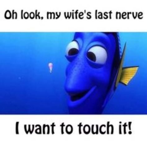 Married Life Humor, Wife Memes, Husband Meme, Witty Memes, Husband Wife Humor, Funny Marriage Jokes, Marriage Jokes, Wife Humor, Marriage Humor