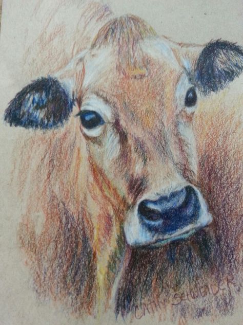 Toned Tan Paper Drawing, Toned Tan Paper Art, Realism Drawings, Pencil And Watercolor, Cow Drawing, Cow Colour, Prismacolor Art, Jersey Cow, Watercolor Pencil