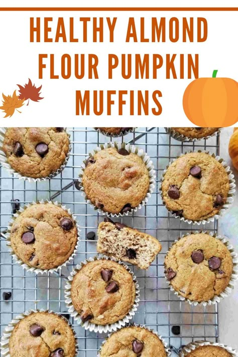 Pumpkin Puree Almond Flour, Pumpkin Almond Flour Muffins, Pumpkin Muffins Almond Flour, Almond Flour Muffins Healthy, Pumpkin Muffins Made With Almond Flour, Pumpkin Muffins With Almond Flour, Easy Almond Flour Pumpkin Muffins, Healthy Pumpkin Muffins Almond Flour, Gluten Free Pumpkin Muffins Almond Flour