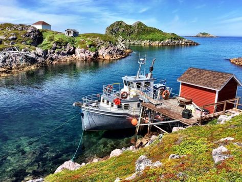 Fogo Island Newfoundland, Louise Lake, Canada Day Fireworks, Fogo Island, Newfoundland Travel, Newfoundland Canada, Canada Road Trip, Atlantic Canada, Island Destinations