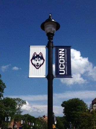 University of Connecticut - Pinterest Yifei He, University of Connecticut | UCONN Law.  #UCONN #UniversityofConnecticut #CollegeCampus Connecticut Aesthetic, College Road Trip, Campus Aesthetic, Uconn Basketball, Uconn Womens Basketball, College Vision Board, Dream Collage, Future Girlfriend, Vision Board Images