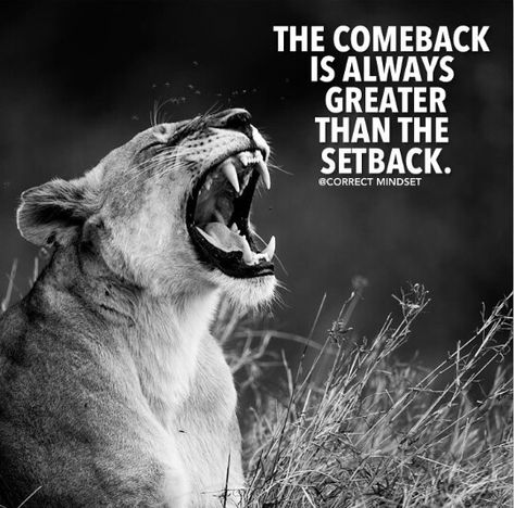 Comeback is better than setback The Comeback Is Better Than The Setback, Comeback Story Quotes, Comeback Quotes Inspiration Motivation, This Comeback Is Personal Quote, Comeback Quotes Inspiration, Comeback Quotes, Strong Sayings, Lioness Quotes, Mood Words