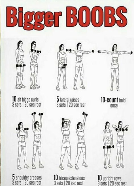 Home Chest Workout Women, Bigger Arms Women, Lazy Fitness, Summer Body Workout Plan, Workout Gym Routine, Gym Workout Plan For Women, Summer Body Workouts, Workout Routines For Beginners, All Body Workout