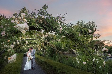 15 Affordable Napa Sonoma CA Wedding Venues | See Prices Outdoor Wedding Venues California, Rose Garden Wedding, Wine Country Wedding Venues, Petaluma California, Northern California Wedding Venues, California Honeymoon, Sonoma Wine Country, Rose Gardens, Country Barn Weddings