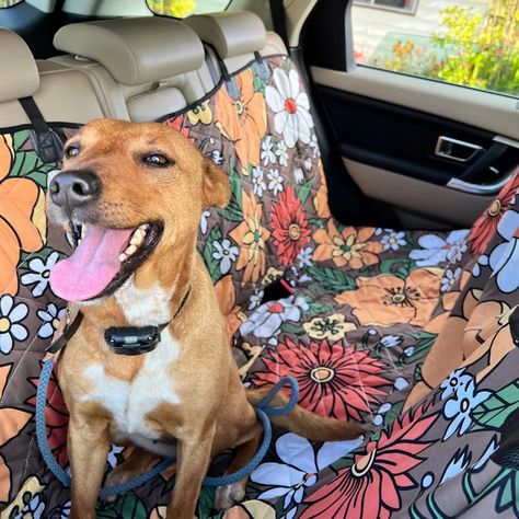 Happy pup 🐶 Bubbah is loving the beautiful Retro Flowers in Bloom dog car seat cover 🐾 🌼 🚘 Our car hammocks are paws-itively adorable and ensure a tail-wagging, safe, and comfy ride for your pup! 🐕 Dog Seat Covers, Accessories Boho, Cattle Dogs, Auto Retro, Dog Car Seat Cover, Pet Car Seat, Van Living, Dog Car Seats, Back Seat Covers