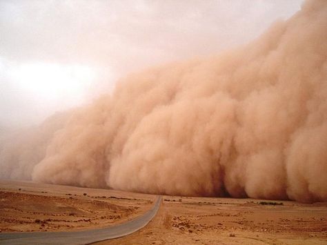 Sophie Paterson Interiors, Body Connection, Body To Body, Dust Storm, Muscle Relaxation, Stormy Weather, Higher Consciousness, Storm Clouds, High Fantasy