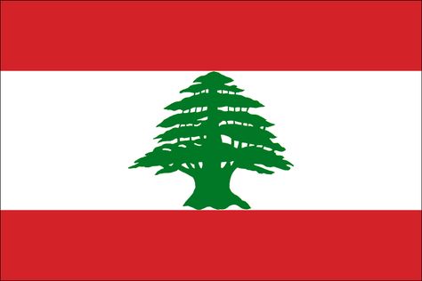 Lebanese Flag, Lebanon Flag, Images Noêl Vintages, Flags Of The World, Yemen, Beirut, Countries Of The World, Book Making, Canada Flag