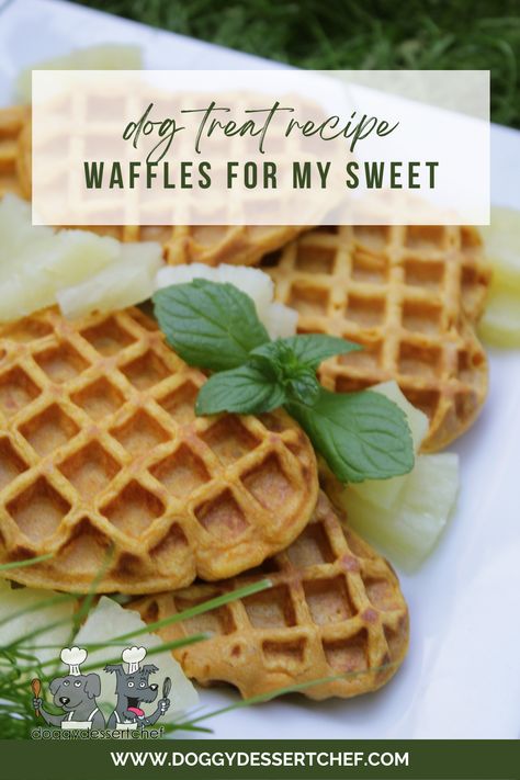 Waffles for my Sweet Dog Treat Recipe Dog Waffles Recipes, Dog Waffles, Waffle Dog, Pet Recipes, Dessert Chef, Dog Treat Recipe, Doggy Treats, Blueberry Waffles, Sweet Potato Waffles