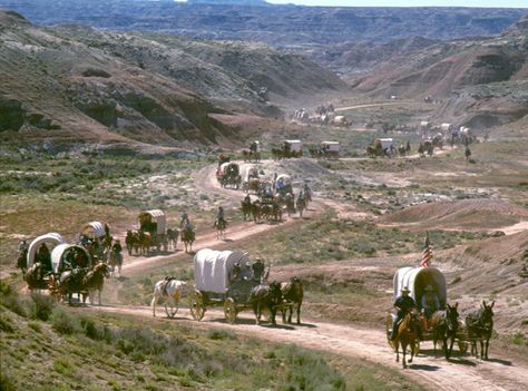 Wagon train moving through badlands @  south of Cody, Wyoming _____________________________ Reposted by Dr. Veronica Lee, DNP (Depew/Buffalo, NY, US) Wagon Trails, Usa History, Cody Wyoming, Pioneer Life, Old Wagons, The Oregon Trail, Wilde Westen, Into The West, Covered Wagon