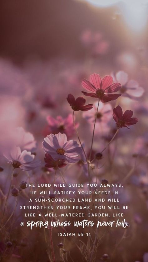 Pink Bible Quotes, Wallpaper Bible Verse Aesthetic, Bible Verse Wallpaper Pink, Pink Jesus Wallpaper, Pink Bible Quotes Wallpaper, Decorate Front Porch, Scripture Wallpaper, Bible Verse Background, Bible Quotes Wallpaper