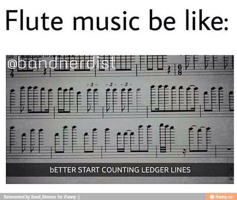 Band Humor Flute, Flute Jokes, Flute Quotes, Flute Memes, Funny Band Jokes, Flute Problems, Funny Band, Marching Band Memes, Music Puns