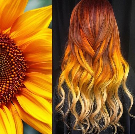 Sunflower Hair, Sunset Hair, Hairstylist Hairstyles, Cute Hair Colors, Hair Color Purple, Pretty Hair Color, Hair Color Blue, Yellow Hair, Hair Dye Colors