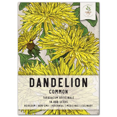 PRICES MAY VARY. Quality Dandelion seeds packaged by Seed Needs. Each packet measures 3.25 inches wide by 4.50 inches tall and contains approximately 10,000 seeds. Dandelion is an edible herb that is ready for harvesting in roughly 95 days. The leaves are popularly used in salads. Dandelion herbs are perennials that will grow to a mature height of about 8 to 18 inches tall. The plants will produce yellow flowers, reaching a diameter of about 1 inch to 1.5 inches wide. All Dandelion seeds sold by Dandelion Plant, Clover Seed, Taraxacum Officinale, Dandelion Seeds, Seed Packaging, Dandelion Seed, Dandelion Flower, Seed Company, Beneficial Insects