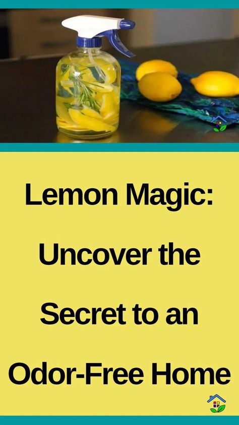 Next time when life throws you a lemon, make some natural home deodorizer. We all want our homes to smell fragrant and fresh, that’s why we are always looking for the most effective home deodorizer. However, commercial air fresheners contain harsh chemicals that are harmful to both our health and the environment. Look no further, […] Natural Air Freshener Diy, Home Deodorizer, Natural Room Deodorizer, Fresh Lemon Recipes, Lemon Deodorant, Outdoor Kitchen Area, Air Freshener Recipes, Room Deodorizer, Homemade Air Freshener