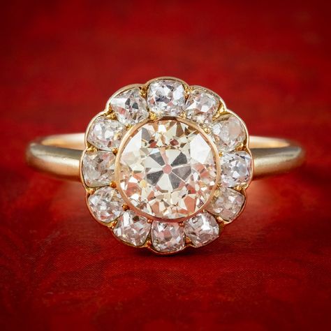 A stunning antique Victorian daisy cluster ring adorned with a magnificent old cut fancy diamond in the centre with a subtle champagne hue, haloed by twelve smaller old cushion cut petals around the border.  The piece is accompanied by a detailed E.D.R diamond certification that verifies the stones are all natural and weigh approx. 1.7ct in the centre, with approx. 1ct surrounding, bringing the total to 2.7 carats. The centre stone has VS2/ SI1 clarity - K/L colour and the outer stones have SI c Antique Cushion Cut, Edwardian Engagement Ring, Diamond Rings Design, Antique Diamond Rings, Victorian Rings, Beautiful Engagement Rings, Fancy Diamonds, Pretty Rings, Diamond Cluster Ring