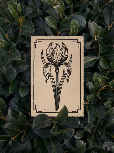 Linocut "Iris", vintage engraving illustration with flower, farmhouse decorative poster, floral art

Botanical graphic design ideal for every plant mom, gardener and nature lover. Works great as a house warming decoration or gift for flower keeper.

Old looking beige color of paper accompanied by flower theme of illustration will fill your room with vintage style and give warm old-school touch to any space.

Linocut hand printed on recycled homemade paper with deckled edges, tinted with coffee. Space Linocut, Botanical Graphic Design, Linocut Prints Simple Flower, Tulip Linocut, Linocut Botanical, Vintage Linocut, Flower Linocut Print, Floral Linocut, Woodcut Flower