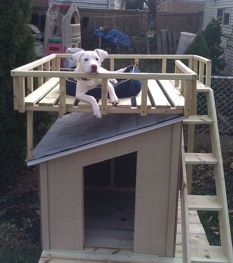 Dog House with Roof Top Deck - Cheap Dog Houses, Winter Dog House, Easy Dog House, Diy Dog Run, Cheap Dog Kennels, Modern Dog Houses, Build A Dog House, Funny Animal Images, Wooden Dog House