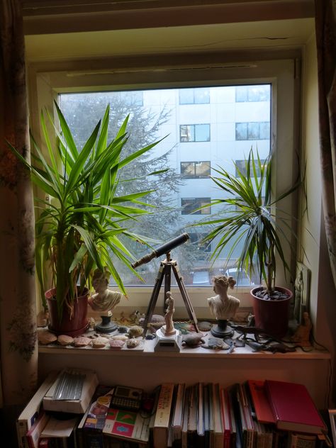 https://flic.kr/p/jp1jWS | Out of my brothers window | The window sill is more picturesque than the view Big Window Sill Decor, Window Sill With Plants, Deep Window Sill Ideas, Window Sill Decor Bedroom, Bedroom Window Sill Decor, Window Ledge Ideas, Window Sill Ideas, Plants On Window Sill, Bedroom Windowsill