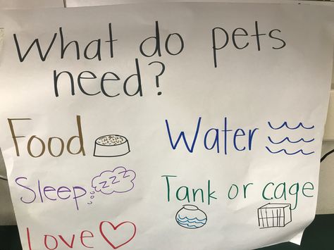 Veterinarian Lessons For Preschool, Vet Activities For Preschool Pet Theme, Animal Shelter Preschool Activities, Home Pets Preschool Activities, Pets Anchor Chart, Pet Small Group Preschool, Vet Preschool Crafts, Pet Anchor Chart Preschool, Vet Theme Preschool Activities