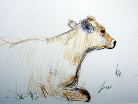 Cow Side Profile, Random Animals, Profile Drawing, Animal Reference, Shiva Art, Cowboy Art, Nice Art, Art Animals, Diy Watercolor