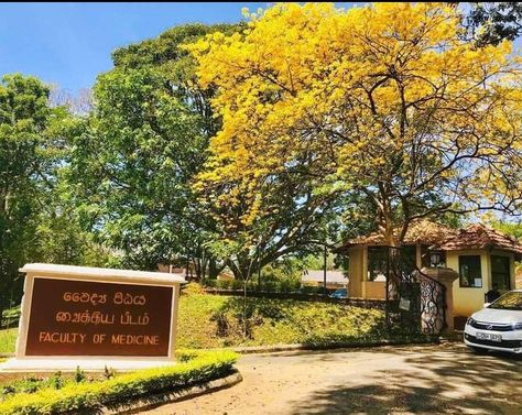 University Of Peradeniya Medical Faculty, Srilanka Aesthetic, University Of Peradeniya, University Medicine, Faculty Of Medicine, Vision Board Success, Doctor Stickers, Medical Photography, Medical Videos