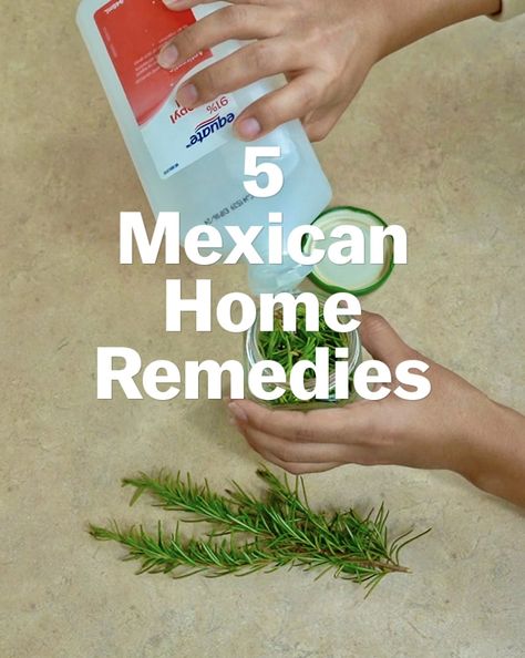 Pero Like - 5 Mexican Home Remedies Mexican Household, Rosemary Bush, Using Rosemary, Poem Recitation, Small Glass Containers, Speaking Spanish, Hydrocortisone Cream, Spearmint Tea, Generation To Generation