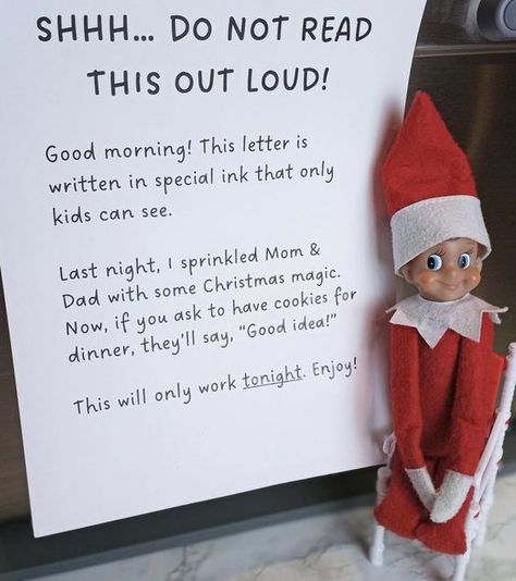 Elf Ideas Easy, Awesome Elf On The Shelf Ideas, Elf Magic, Elf Activities, Xmas Elf, Elf Antics, Elf Fun, Funny Story, Elf Ideas