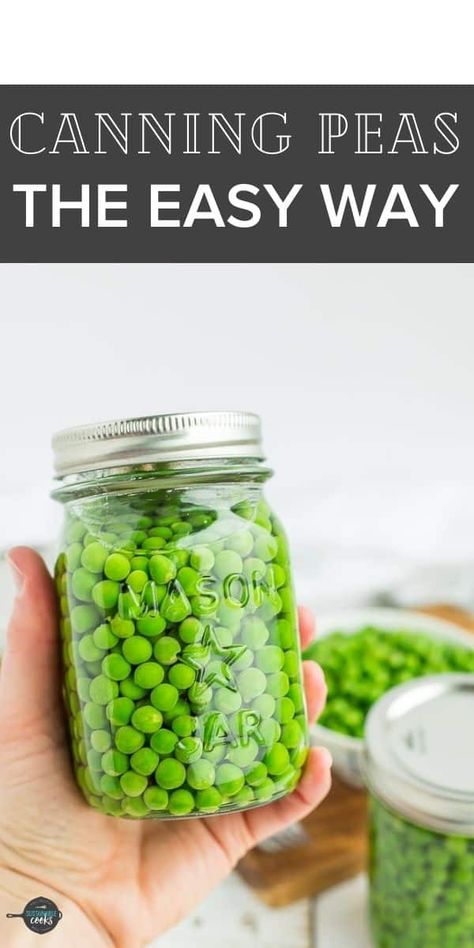 Canning Peas, Pressure Canning Green Beans, Preserving Green Beans, Canning Green Beans, Canned Green Bean Recipes, Canned Peas, Canning Beans, Dilly Beans, Easy Canning