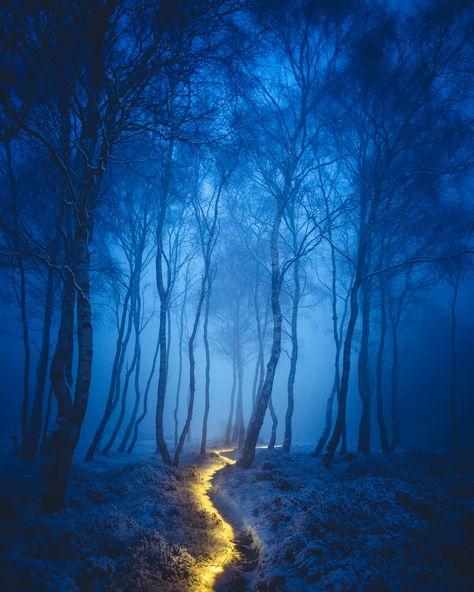 Peak District, uk  Single exposure, no photoshop Night Light Forest, Nighttime Forest Aesthetic, Enchanted Forest Aesthetic Light, Glowing Forest Art, Forest At Night Painting, Spooky Forest Art, Fantasy Night Forest, Firefly Landscape, Mystical Forest Aesthetic