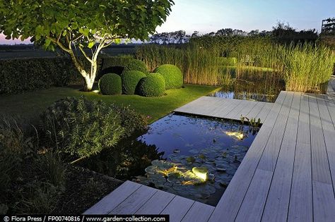 Fish Pond Gardens, Garden Pond Design, Herb Garden Design, Garden Arbor, Modern Garden Design, Pond Design, Garden Pond, Ponds Backyard, Vegetable Garden Design