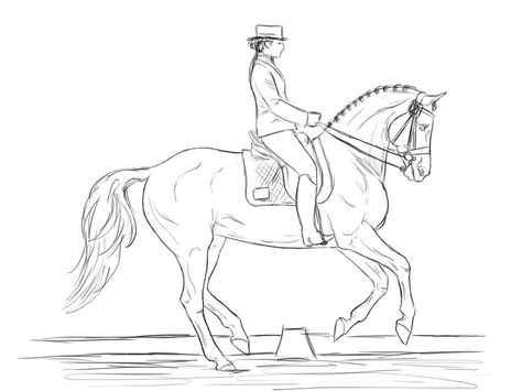 Dressage Horse Coloring Pages Cardboard Horses, Ride Drawing, Horse Outline, Horse Competition, Horse Art Drawing, Horse Sketch, Horse Dressage, Horse Coloring Pages, Horse Face