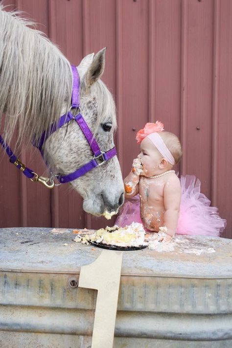 Smash cake with horse *must* First Birthday Pictures Western, Cowgirl One Year Old Pictures, Horse First Birthday Party, Horse Smash Cake, First Birthday Ideas, Country Baby Girl, Bday Pics, Pictures With Horses, Baby Milestones Pictures