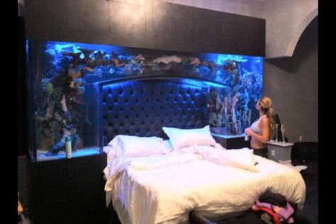 Fish bowl Fish Tank Bed, Aquarium Bed, Aquarium Mural, Custom Fish Tanks, Cool Fish Tanks, Aquarium Terrarium, Water Bed, Fish Tanks, Interior Design Trends