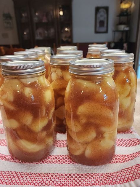 Homemade Amish Apple Pie Filling: A Taste of Tradition Small Batch Apple Pie Filling, Amish Apple Pie Filling, Small Batch Canning Recipes, Amish Apple Pie, Canning Apple Pie Filling, Canning Apples, Apple Pie Filling Recipes, Canned Apple Pie Filling, Pie Filling Recipes