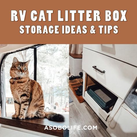 Rv Cat Enclosure, Camper Cat, Rv Cat, Traveling With Pets, Business Cat, Camping With Cats, Women Tips, Build A Camper Van, Van Build