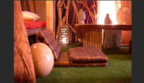 5 Examples of Astroturf Used INDOORS - Curbly Cat Sanctuary, Faux Grass, Home Plate, Astro Turf, Garage Conversion, Indoor Sports, Media Room, Outdoor Bed, Decorating Ideas