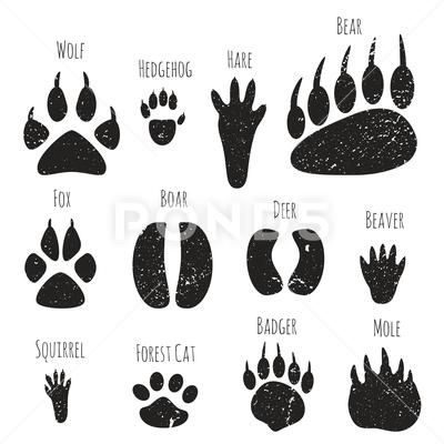 Animals Footprints, Cow Vector, Guitar Vector, Animal Footprints, Animal Tracks, Dog Vector, Cute Mermaid, Forest Animal, Vector Pop