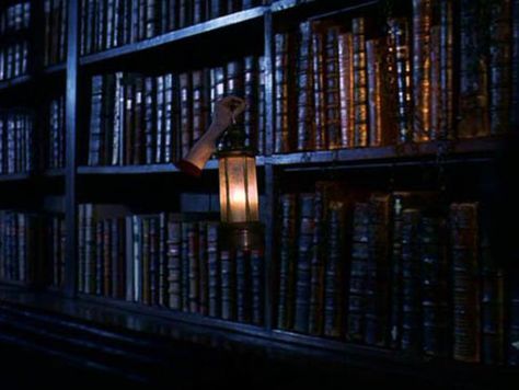 The Restricted Section, Harry Potter and the Philosopher's Stone Harry Potter Film Locations, Stone Aesthetic, Hogwarts Library, Harry Potter Painting, Philosophers Stone, Potters House, The Sorcerer's Stone, Harry Potter Houses, Harry Potter Costume