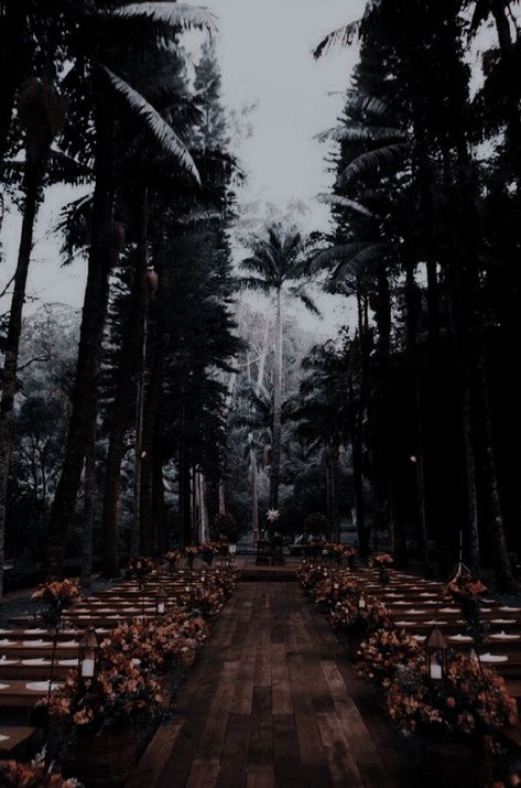 Dark Fairycore Wedding Aesthetic, Gothic Jungle, Mafia Wedding, Dark Romantic Wedding, Twilight Wedding, Dark Wedding Theme, Jungle Wedding, Never Getting Married, Trophy Hunting