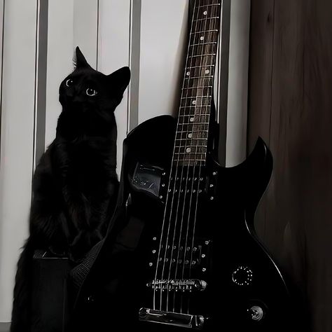 Black Guitar Aesthetic, Black Cat Pfp, Goth Cat, All Black Cat, Kitten Accessories, Black Cat Aesthetic, Black Kitten, Cute Black Cats, Cat Icon