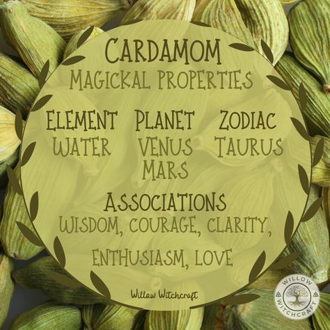 Cardamom Witchcraft, Herbal Witch, Magickal Herbs, Wiccan Crafts, Medical Herbs, Divine Feminine Spirituality, Magic Herbs, Kitchen Witchery, Diy Cleaning Solution